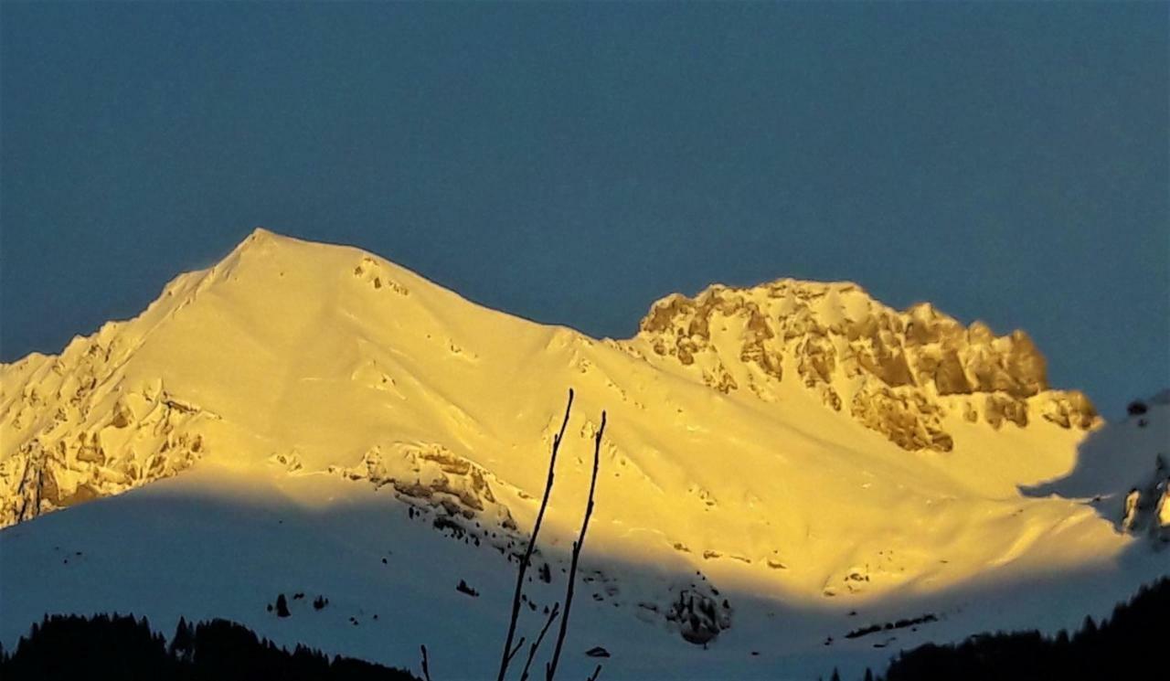 Ferienwohnung Laubrinus Adelboden Exterior foto