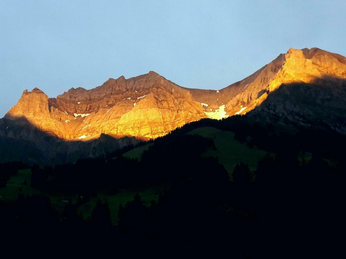 Ferienwohnung Laubrinus Adelboden Exterior foto